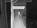 Dobby CAUGHT On Camera Shorts Dobby Elf Fyp Viral