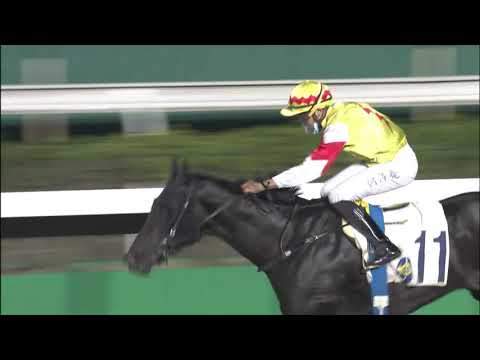 27/10/2021 (128) Thunderstrike - Vincent Ho