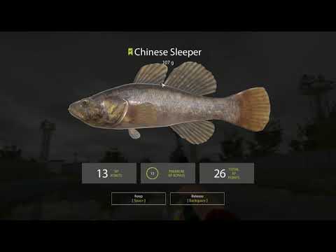 Russian fishing 4: Penalty lake what is it exactly ???