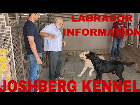 KENNEL INTERVIEW WITH MR. MUKUND JOSHI ( JOSHBERGH KENNEL)