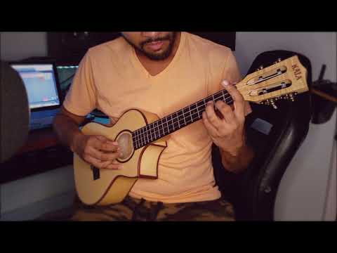 I Can See Clearly Now (KALA Ukulele Cover)