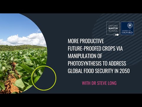 Future-proofed crops via manipulation of photosynthesis to address global food security in 2050
