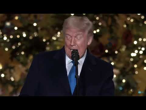 President Donald Trump's 2020 Christmas Address