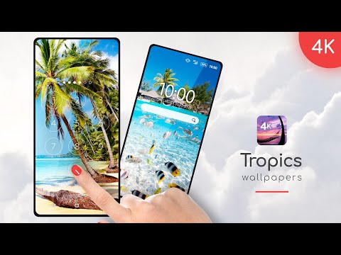 Tropical wallpaper in 4K Video
