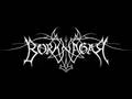 Borknagar - Oceans Rise 
