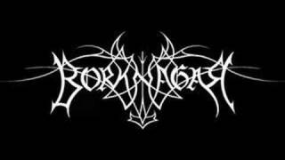 Borknagar - Oceans Rise