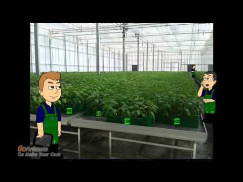 IVS GREEN - Sauklaue oder Barcode?