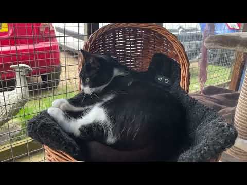 Making friends with Latoya