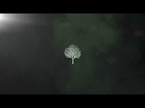 Papa en Roy - Moderna, Theus Mago