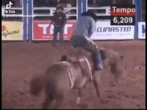 ZEIUS CRUZ FONSECA X MALÍCIA - RODEIO DE JALES 2010