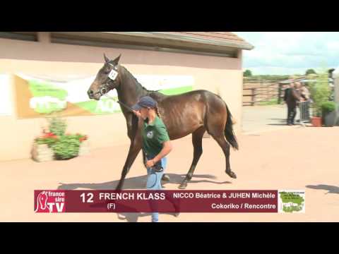 Concours Cercy 2017 - Lot 12 - French Klass