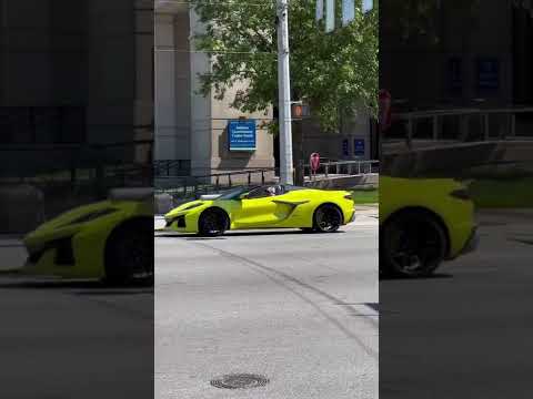 Corvette Z06 in the wild! #corvette #z06