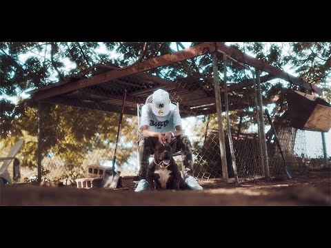 Jan Cee - Dinero y Fama (BLOODLINE THE ALBUM (Motion on the Beat) Official Video