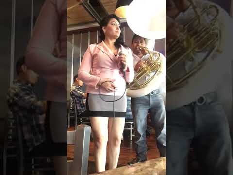 LiLi Zetina/ENTRE GOLPES Y BESOS