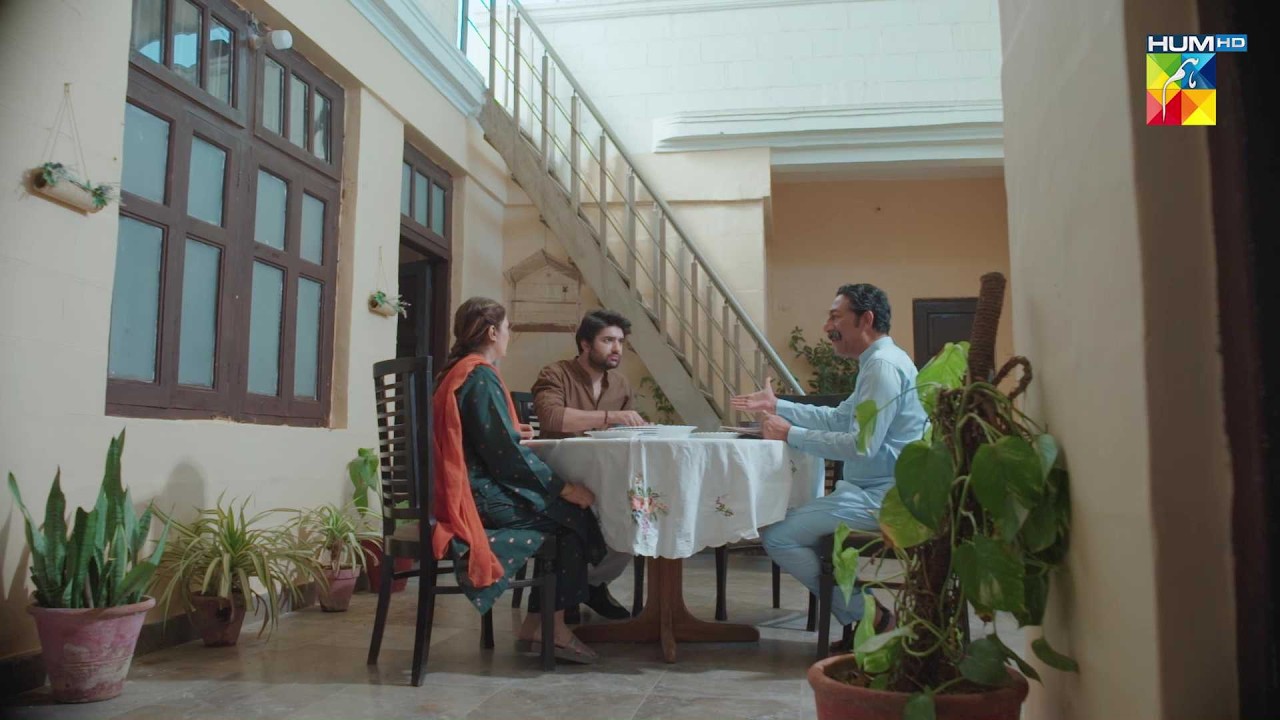 Kab Tak Muft Ki Rotiyan Torta Rahy Ga..? #sirfshabana #sohaialiabro - HUM TV