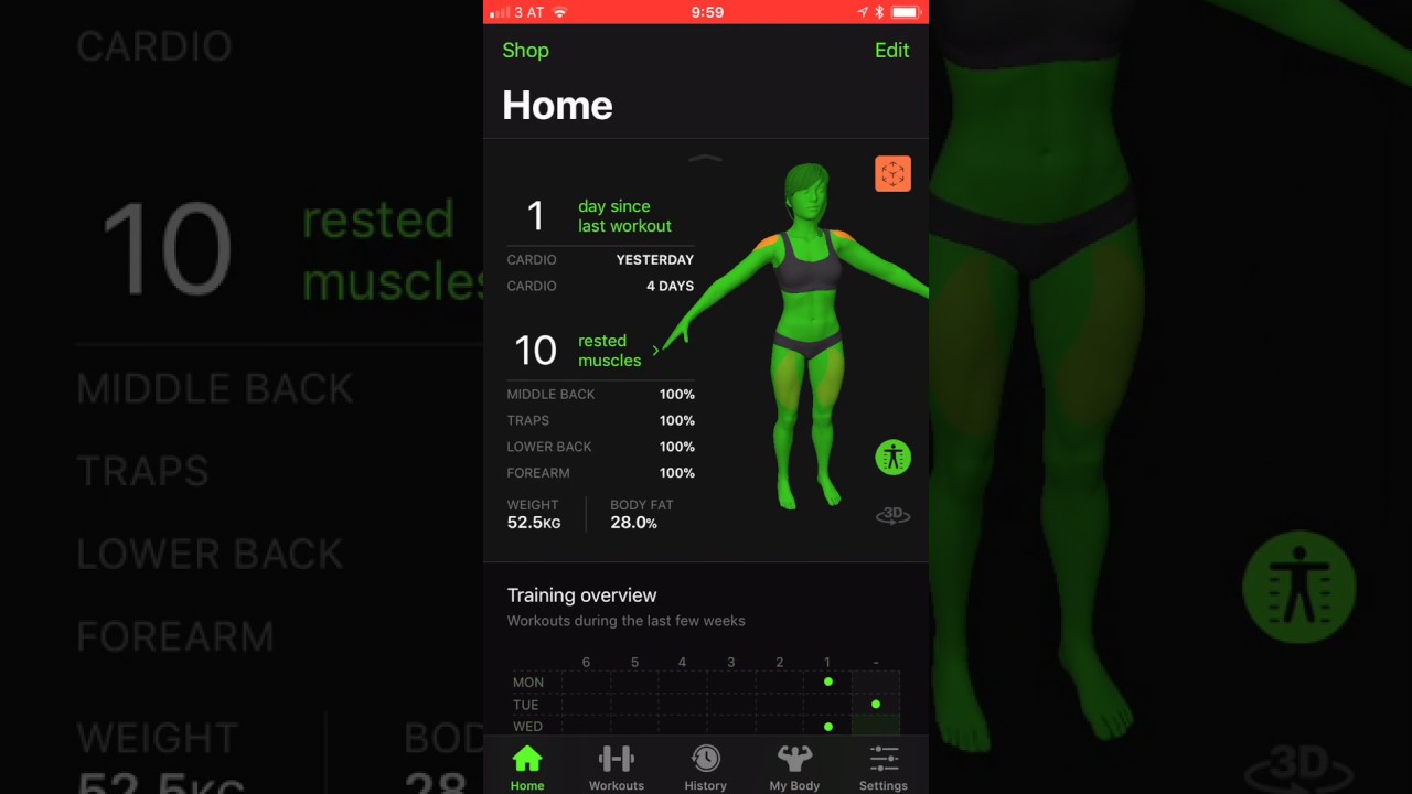 Weightloss or muscle gain Gymaholic keeps track of your progress