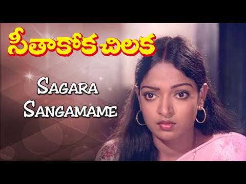 SeethaKokka Chilakka Telugu movie songs | Saagara Sangamame (Janaki)  | Phoenix music
