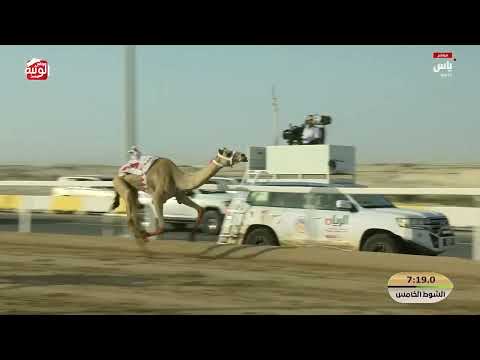 ش 5 (هملوله) لـ سالم سعيد بن غافان الجابري 12:21:96 ، مهرجان ختامي الشحانية 2026/04/27 حول