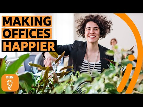 How one office hack can make us happier at work | BBC Ideas