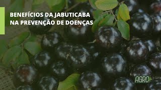 Miniatura do vídeo