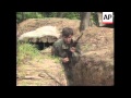 BOSNIA BRCKO THREE KILLED IN SHELLING ATTACK