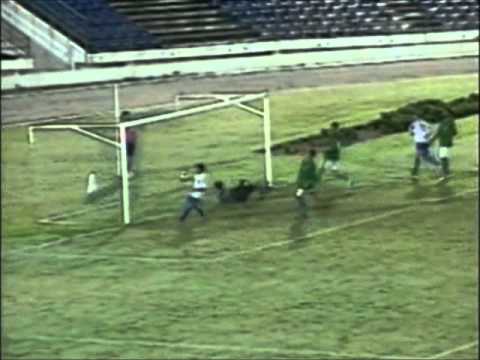 GOL MAIS BONITO DE 2012.wmv