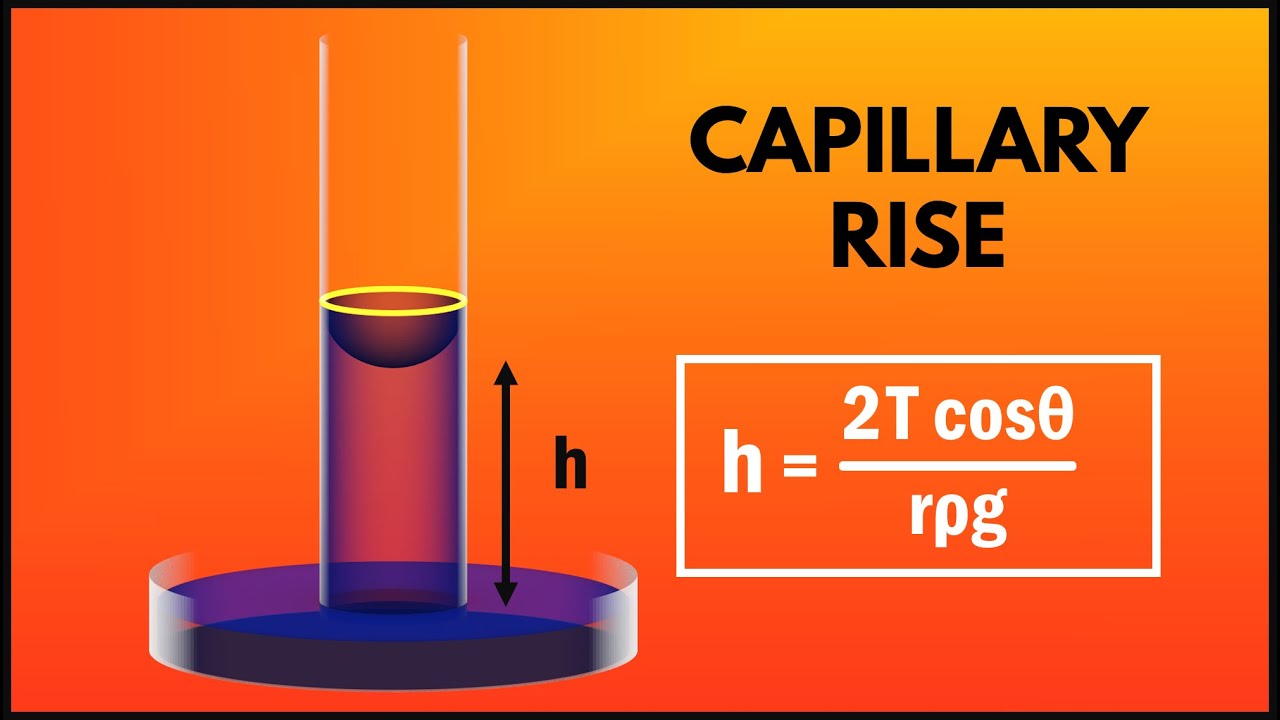 Capillarity (Ascent Formula) Surface Tension | Fluid Mechanics | Play Physics
