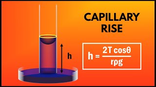 Capillarity (Ascent Formula) Surface Tension | Fluid Mechanics | Play Physics