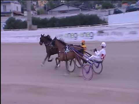 Trotto 25/11/2018 - 1ª corsa