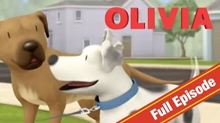 Olivia the Pig | Olivia - Puppy Love | Olivia Full Episodes