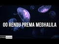 Oo Rendu Prema Meghalila Song Lyrics