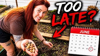 15 Crops You Should Plant Right Now