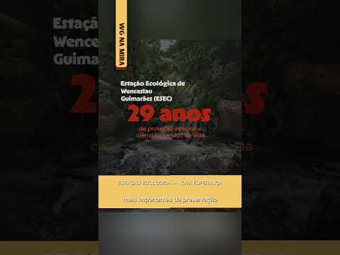 A Estação Ecológica de Wenceslau Guimarães completa 29 anos de proteção