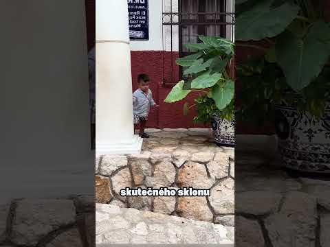 Jak Je Možné, Že Tady Voda Teče NAHORU? 🤔