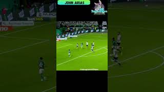 Gol do Palmeiras - Jhon Arias (Palmeiras 2x0 Botafogo) Brasileirão  18/03/2026
