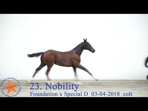 23 Nobility v. Foundation x Special D www.prinsjesdag.eu
