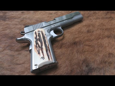 Dan Wesson Razorback 10mm