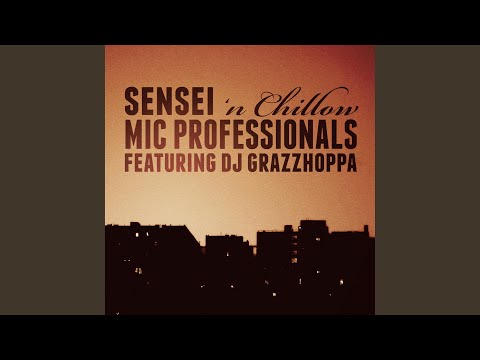 Mic Professionals (feat. Dj Grazzhoppa)