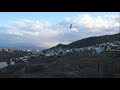 my Neighborhood & Sunset And Cat & Birds , V2