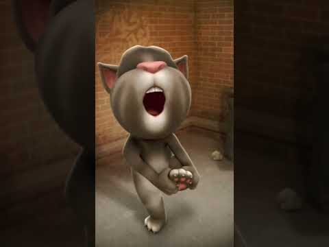 aio aio#short#video#cat#video##funni#viral#video#