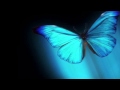 Silvio Rodríguez - Mariposas con letra (lyrics)