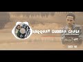 Hachalu Hundessa Xiqqaat Guddaa Caale