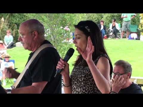 Flaxwood Festival 2014 - Tamara Williams and The Detours - I Hate Myself For Loving You