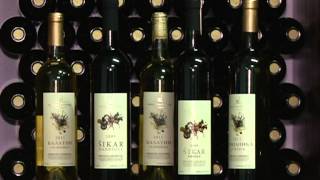 Vinarija Jungic Vinarija Jungic