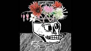 Superchunk - Dead Photographers