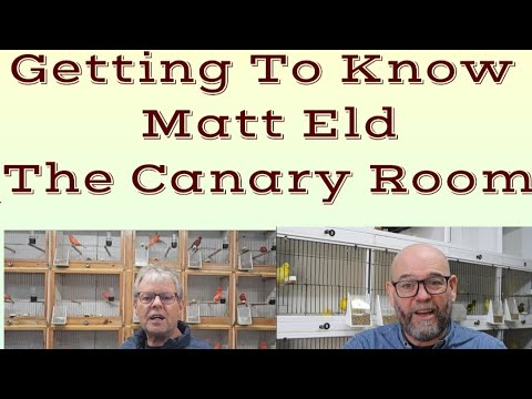 Getting To Know Matt Eld (The Canary Room)