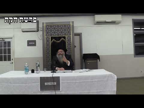 די גייסט ווי דיינע אויגן קוקט R' Avrum Mordche Malach