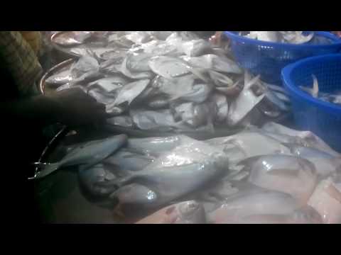 download lagu mp3 mp4 Fish Market Near My Location, download lagu Fish Market Near My Location gratis, unduh video klip Fish Market Near My Location