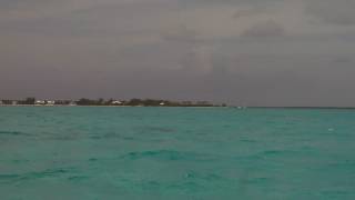 Grand Cayman (Glass Bottom Boat ride to Sting Ray CITY)