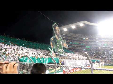 "TIFO - ANDRES PEREZ COPA LIBERTADORES - FRENTE RADICAL - DEPORTIVO CALI vs Boca" Barra: Frente Radical Verdiblanco &bull; Club: Deportivo Cali